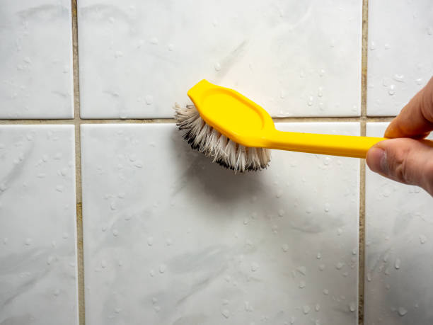 Best Attic Mold Removal  in Lealman, FL