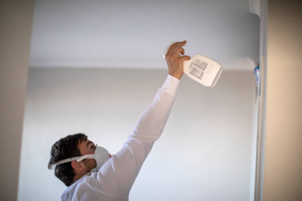 Best Professional Mold Removal  in Lealman, FL